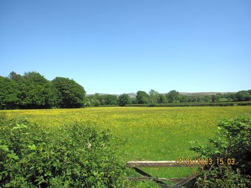 Local walk