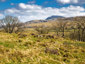 Hilly scenery