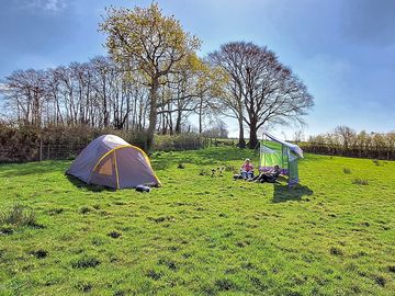 Camping pitch backed by trees