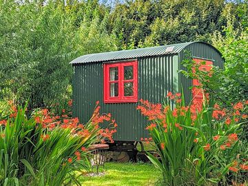 Ismay shepherd's hut