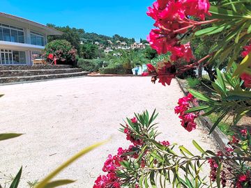 Terrain pétanque