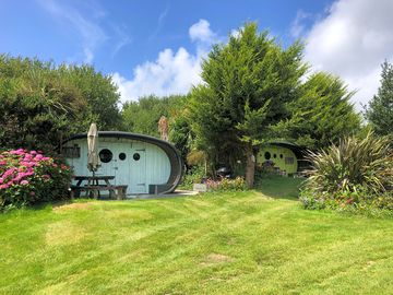 Pods in the summer