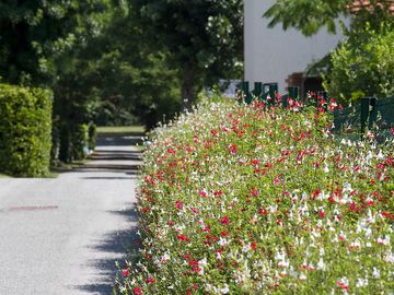 Site pathway
