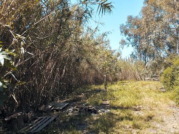 Access to the river