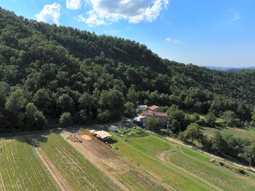 Site