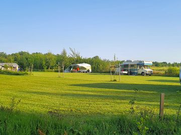 Camping field with young saplings