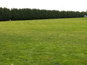 Grass pitches