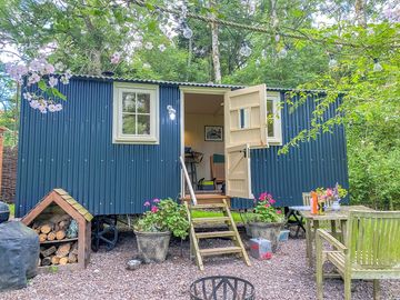 Visitor image of the Beech hut