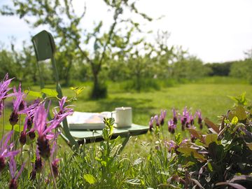 Relax in the orchard with a coffee and a good book