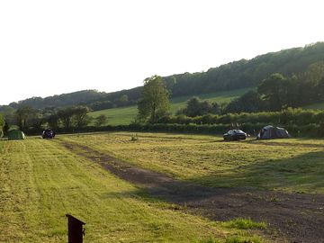View of the site