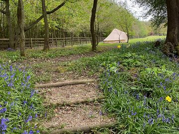 Yorrick bell tent