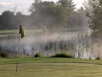 The golf course