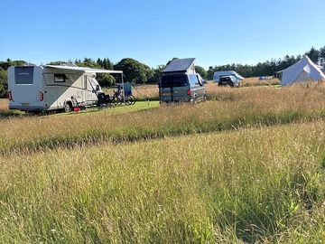 Grass pitches