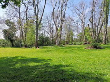 Seven acres camp area 05/05/22