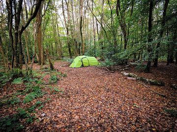 Small tent in a remote woodland area