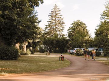 Around the site