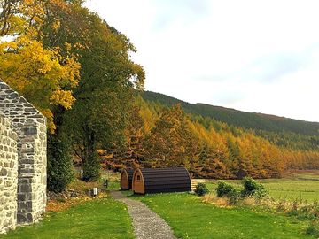 View of the pods