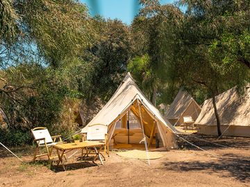 Tents in the woods