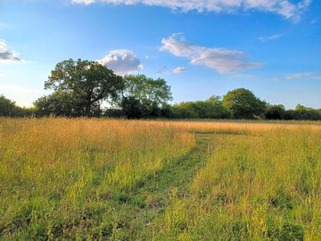 Pitches in pasture with tall grass and flowers