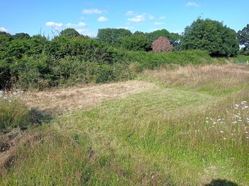 Pitch 1