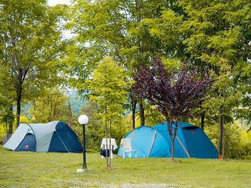 Tents shaded by trees