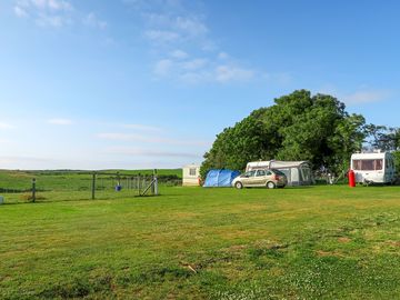 Grass pitches