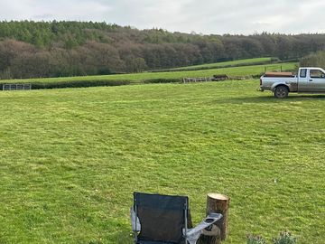 The site