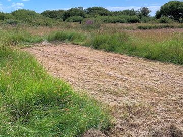 Grassy pitches