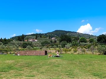 Basic area