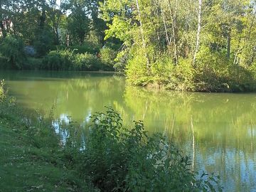 Natural surroundings