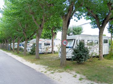 Pitches