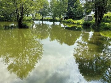Specimen lake
