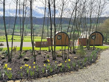 Pathways and flower beds around the site