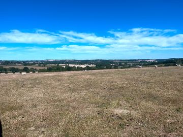 View from the pitches