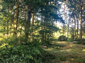 Tent pitches