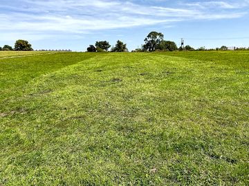 Mown camping field