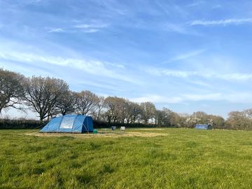 Spacious pitches to relax, play or explore