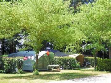 Pitches under the trees