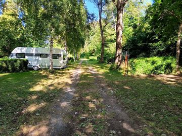 Pitches under the trees