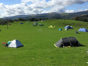 Chose your own pitch