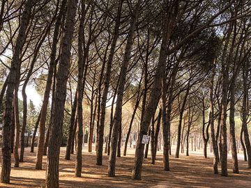 Parcela