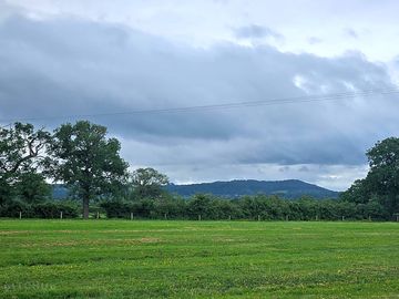 View to the hills from the site