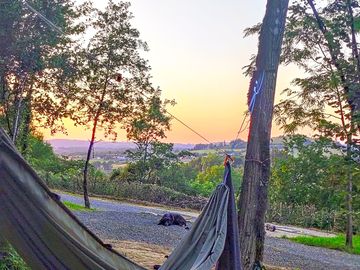 Pitch with a view