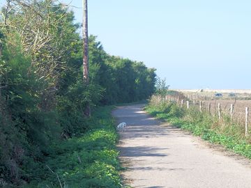 The walk to the beach