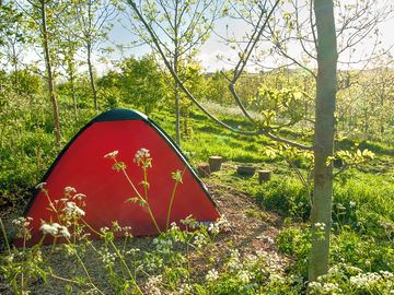 Secluded pitch