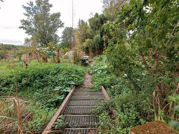 Green spaces around the site