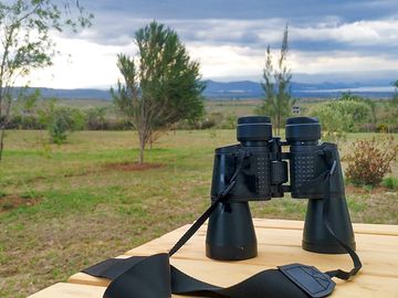 Overlooking Lake Naivasha from the picnic table