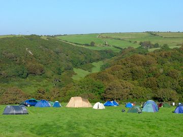 Camping field