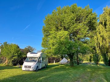 Pitches shaded by trees