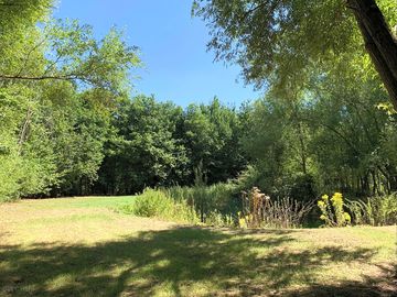 Wildlife pond